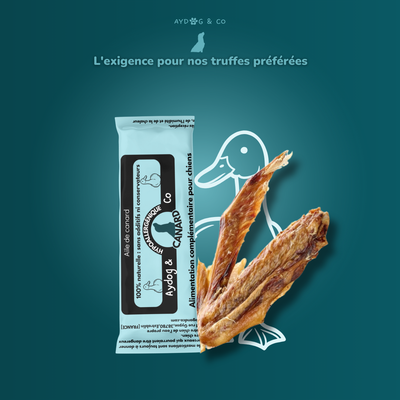 Aile de canard - Friandises pour chien