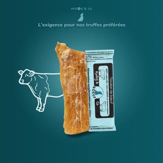 Tendon de bœuf - Friandises pour chien