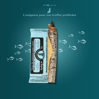 Peau de saumon avec chair - Friandises pour chien