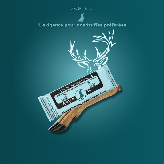 Patte de cerf avec poils - Friandises pour chien