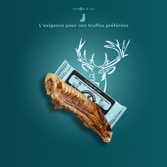 Trachée de cerf - friandises pour chien