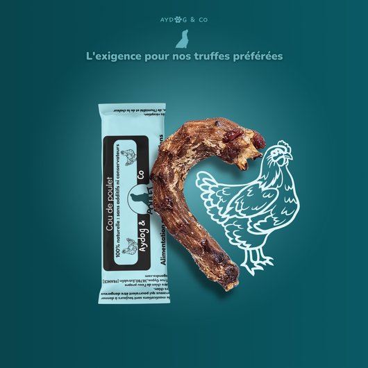 Cou de poulet - Friandises pour chien