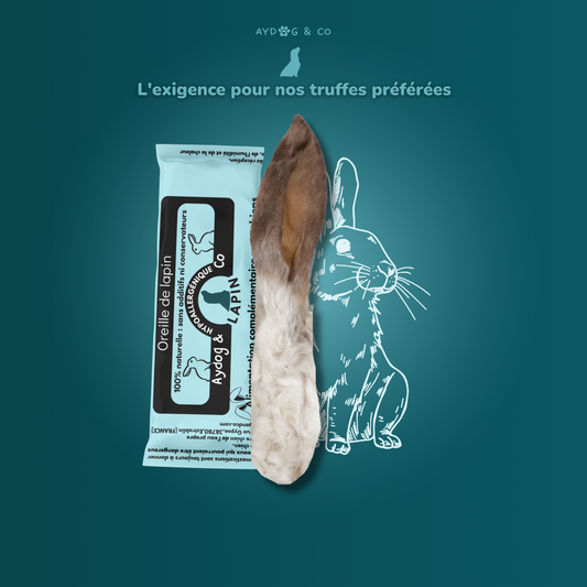 Oreille de lapin avec poils - Friandises pour chien