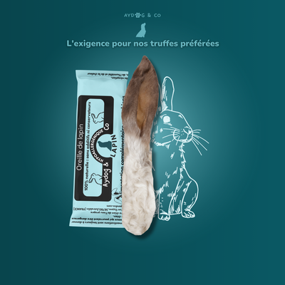 Rabbit ear with fur - Dog treats