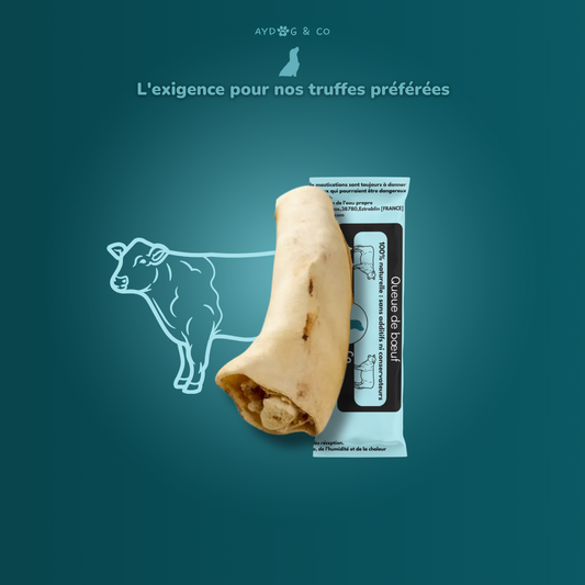 Queue de boeuf - Friandises pour chien