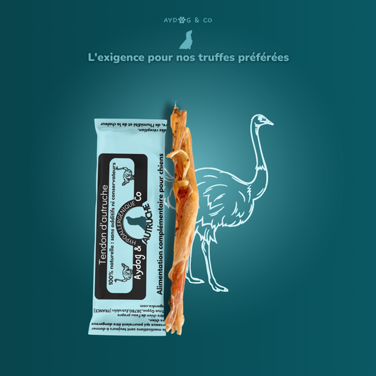 Ostrich tendon (short) - Dog treats