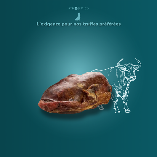 Bull testicle - Dog treats