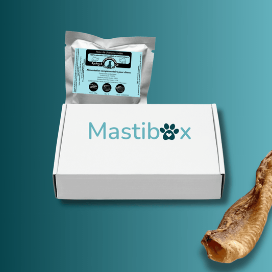 Box de mastication surprise