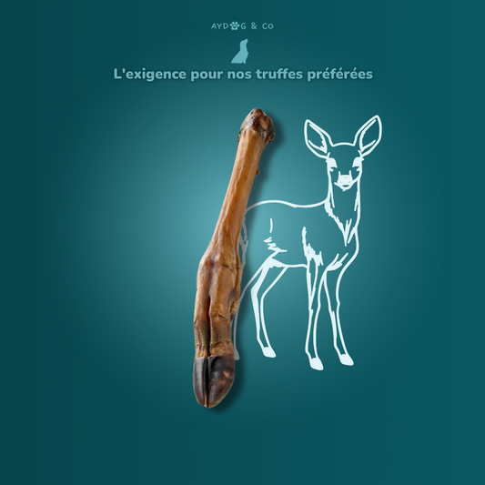 Patte de chevreuil (Avec ou sans poils) - Friandises pour chien