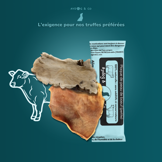 Plaque de peau de bœuf XL (Avec/sans poils) - Friandises pour chien
