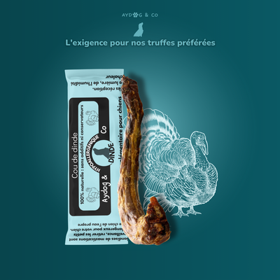 Cou de dinde - friandise pour chien