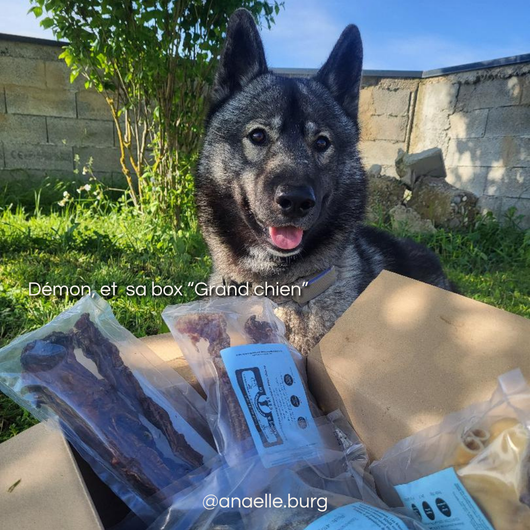 Personalized monthly box - Dog treats 