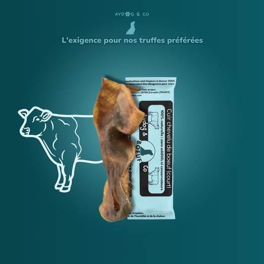 Cuir chevelu de bœuf court - Friandises pour chien