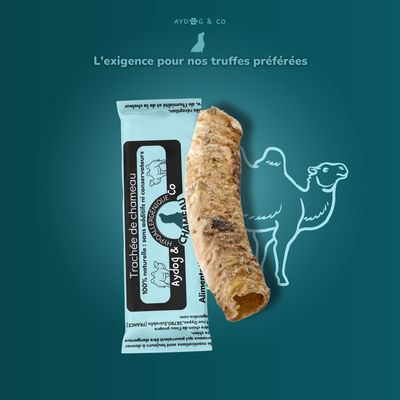 Trachée de chameau - Friandises pour chien