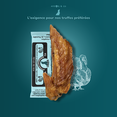 Turkey Wing - Dog Treats
