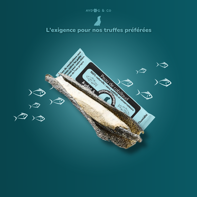 Peau de cabillaud - Friandises pour chien