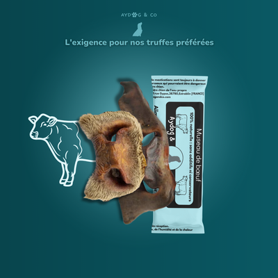 Beef snout - Dog treats