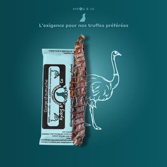 Gorge d'autruche - Friandises pour chien