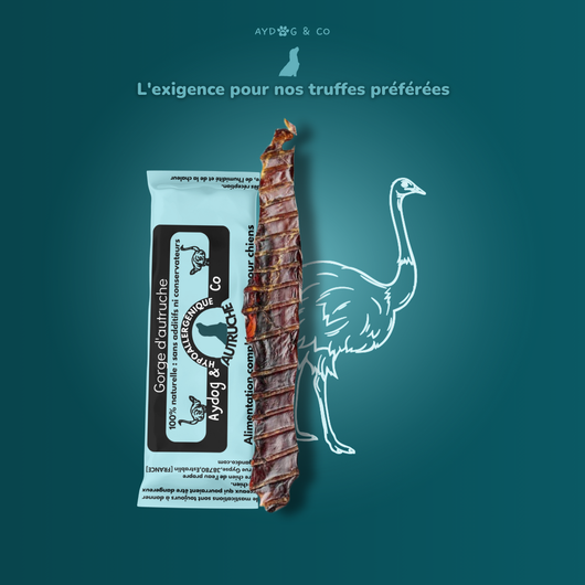 Gorge d'autruche - Friandises pour chien