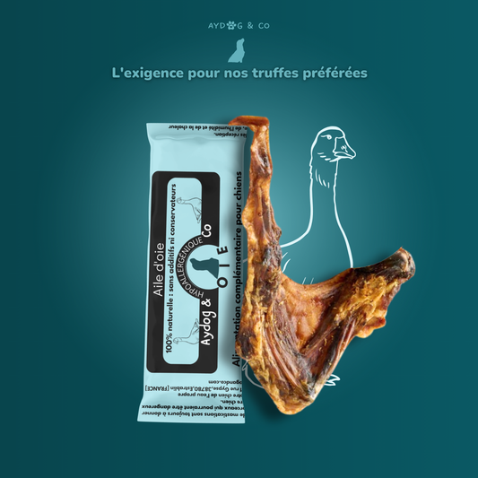 Aile d'oie- Friandises pour chien