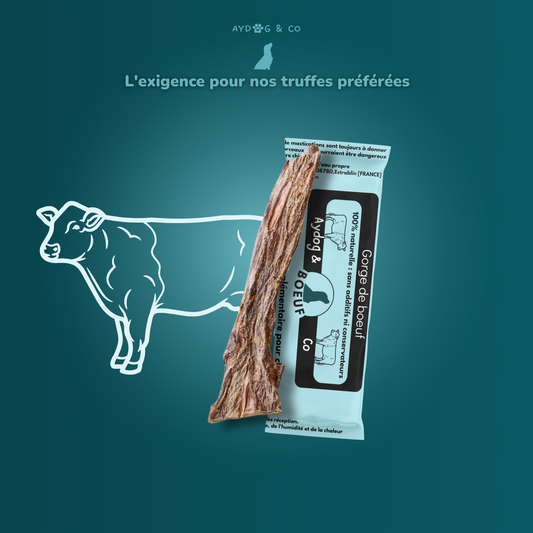 Gorge de bœuf - friandises pour chien