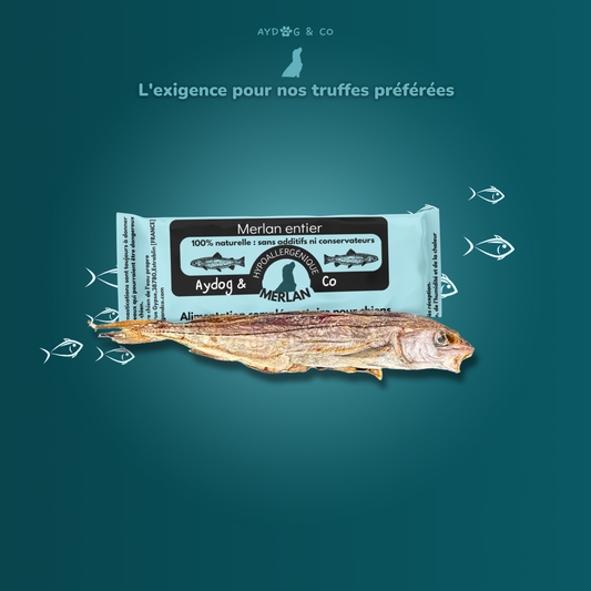 Merlan entier - Friandises pour chien