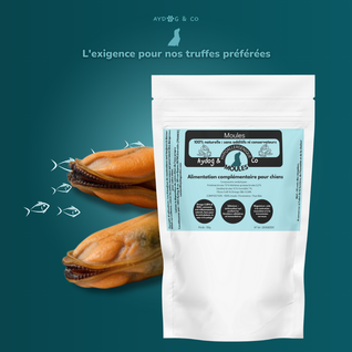 Moules déshydratées - friandises pour chien