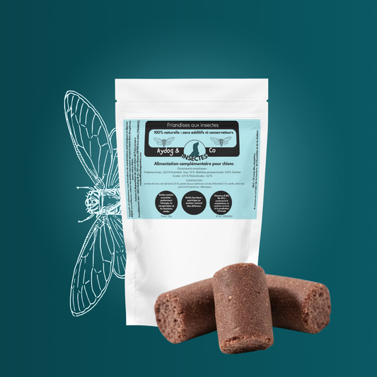Friandise d'éducation aux insectes - Friandises pour chien