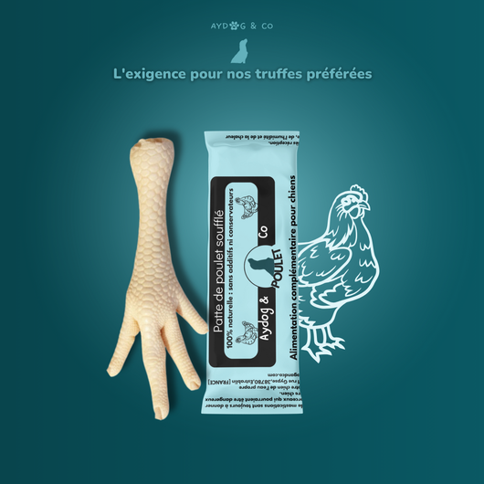 Patte de poulet soufflé - Friandises pour chien