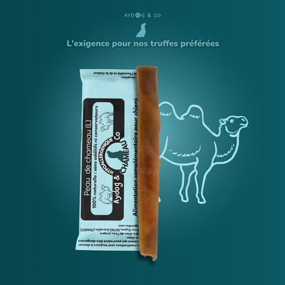 Camel hide (L) - Dog treats