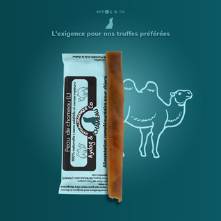 Peau de chameau (L) - Friandises pour chien