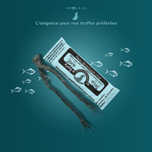 Peau de poisson chat - Friandises pour chien