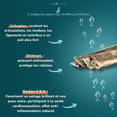 Peau de cabillaud - Friandises pour chien