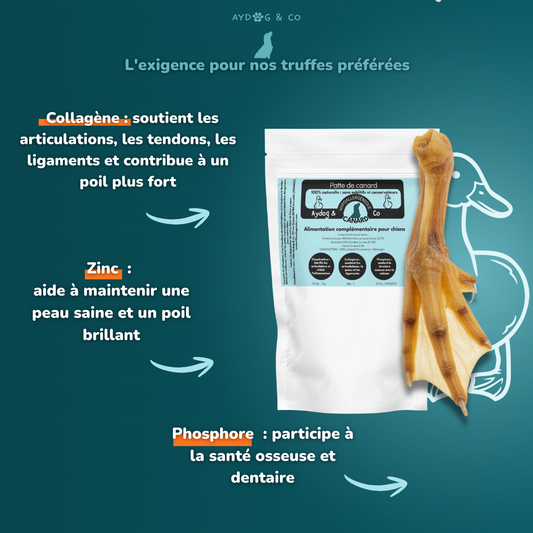 Patte de canard - Friandises pour chien