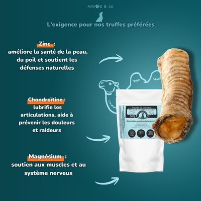 Trachée de chameau - Friandises pour chien