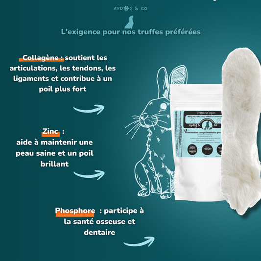 Patte de lapin avec poils - Friandises pour chien