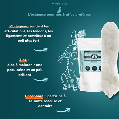 Patte de lapin avec poils - Friandises pour chien