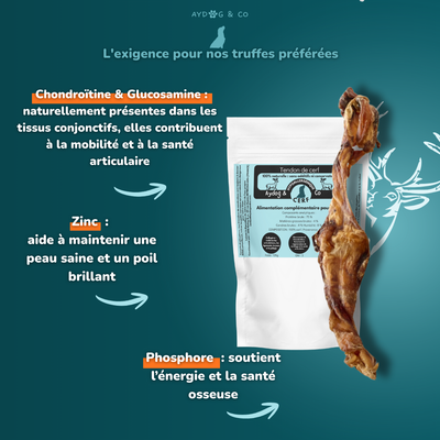 Tendon de cerf - friandises pour chien