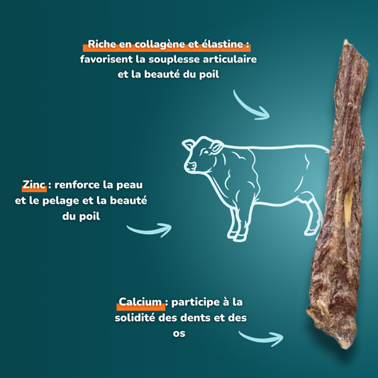 Gorge de bœuf - friandises pour chien