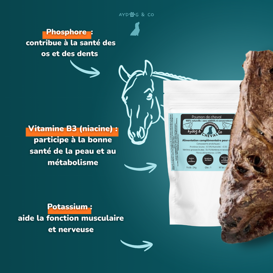 Poumon de cheval - friandises pour chien