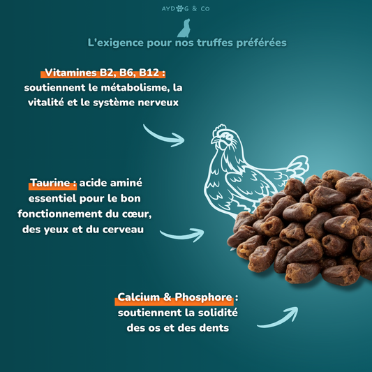 Coeur de poulet - Friandises pour chien