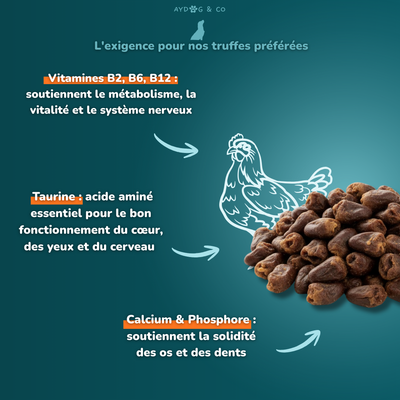 Coeur de poulet - Friandises pour chien