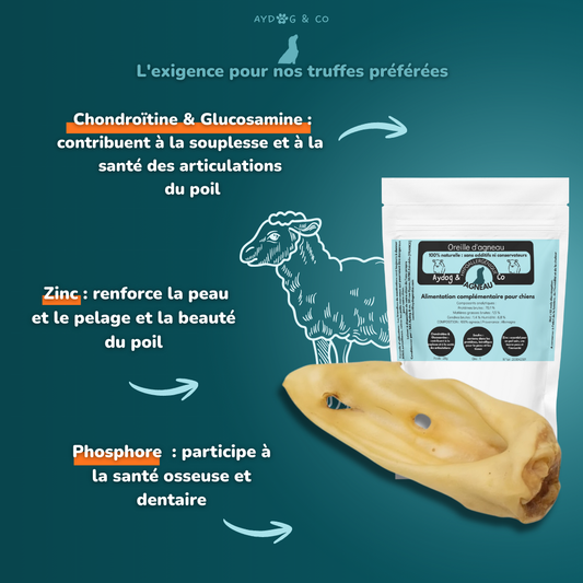 Oreilles d'agneau sans poils - Friandises pour chien