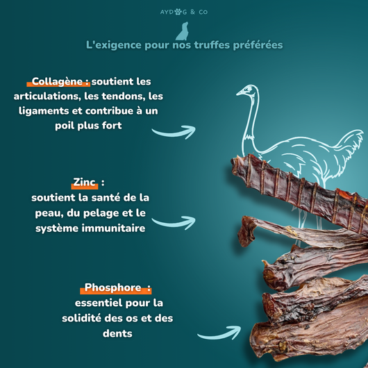 Gorge d'autruche - Friandises pour chien