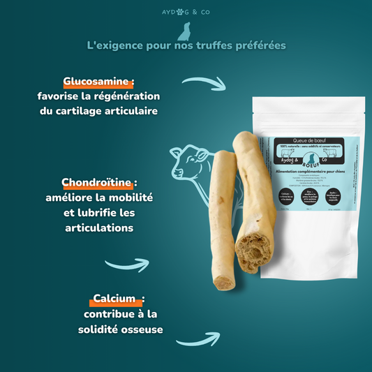 Queue de boeuf - Friandises pour chien