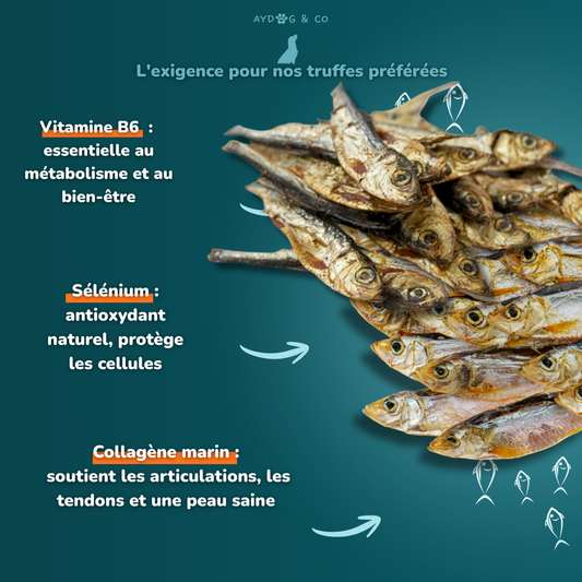 Sprat - Friandises pour chien