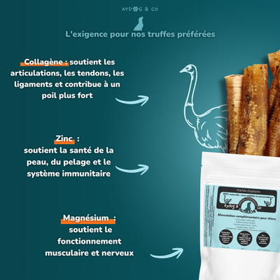 Trachée d'autruche - Friandises pour chien