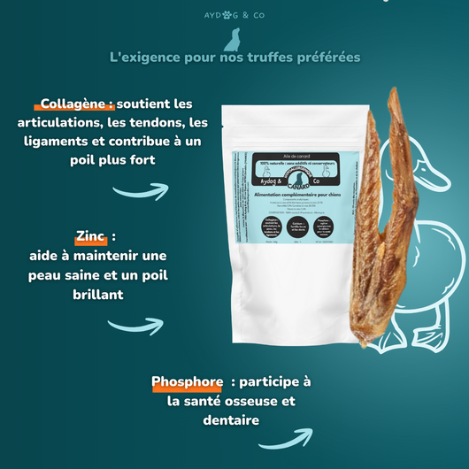 Aile de canard - Friandises pour chien