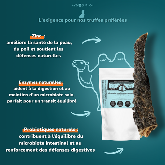 Panse de chameau  - Friandises pour chien