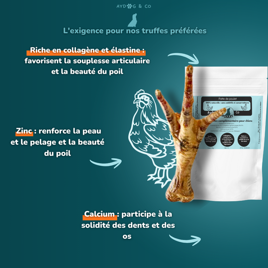 Patte de poulet - Friandises pour chien